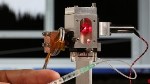 Reading Bacteria’s Metabolic Activity Using Laser and Nanotechnology