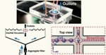 Sorting Cells Faster Using New Imaging Flow Cytometry Technique
