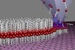 Artificial Cell Membranes can be Written on Graphene Using Lipid Dip-Pen Nanolithography