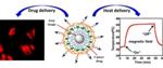 Heat, Chemotherapeutic Drugs and Nanotech Delivery System May Improve Ovarian Cancer Treatment
