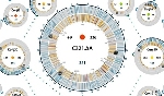 Genetic Code Completely Changed Across an Organism’s Genome