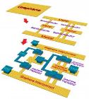 UCSB Scientists Demonstrate All-Graphene Device-Interconnect Scheme