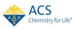 New Way to Sneak Nanoparticles into Tumor Cells for More Effective Therapy