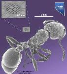NevadaNano’s Molecular Property Spectrometer Wins 2013 R&D 100 Award