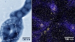 Researchers Study how Bacteria Create Magnetite Nanoparticles Using MamP Protein