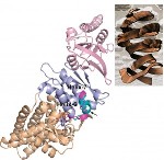 New Method Improves Low-Resolution Crystallographic Data
