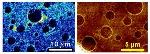 Nanoscale Imaging Reveals Mechanism by Which Peptides Rip Bacterial Membranes