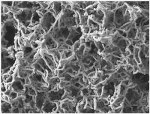 Researchers Develop New Technique of Using Nanotubes to Detect Molecules at Very Low Concentrations