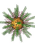 Gold Nanoparticles Combined with siRNA Molecules Effective against Brain Cancer in Mice