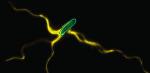Researchers Discover How Bacteria Construct ‘Nanomachines’ Outside the Cell