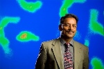 UB’s Paras Prasad Earns Honorary Doctorate for His Pioneering Work in Biophotonics