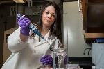 Researchers Develop Nanotherapeutic Capable of Penetrating Blood-Brain Barrier