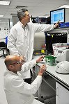 New Microsystem to Test Drugs for Cystic Fibrosis and Epilepsy Treatment