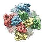 Electron Cryo-Microscopy Helps Visualize Key Protein Related to Pain and Heat