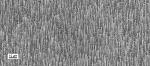 Nanowire Lasers Could Help Develop More Energy-Efficient Sources of Light