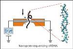 Long Chain DNA with Low Salt Concentration More Conducive to Nanopore Sequencing Process