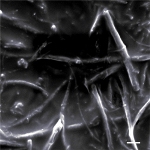 Researchers Develop Deicing Solution Using Graphene Nanoribbons to Protect Radars