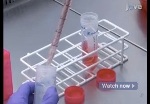 University of Manchester Nanomedicine Lab’s New Approach Provides Hope for Regenerative Medicine