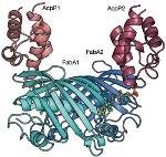 Molecules Caught in the Act of Biosynthesis