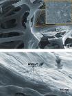 Multi-Walled Carbon-Nanotube-Based Coating Greatly Reduces Flammability of Foam