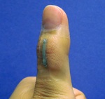Researchers Develop Wearable, Multifunctional Sensors Using Silver Nanowires