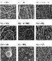 Contipro Introduce New Jets for Composite Nanomaterials