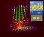 Researchers Model Explains Macroscale Fluid Convection Induced by Plasmonic Nanostructures