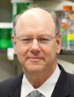 Advanced Imaging Techniques Provide Insights into Molecular Basis of Memory