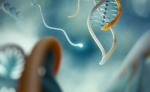 Research Team Develop DNA Clamp to Detect Mutations at DNA Level