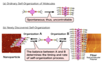 NIMS Develops Method for Controlling Molecular Self-Organization