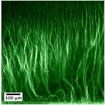 New Process to Create Tiny Fiber Structure at the Microscale