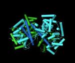 Researchers Reveal Inner Workings of SecA Nanomotor