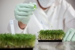 IndustryTech 2014 to Showcase Food-Related Innovations