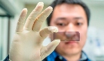 Researchers Develop Highly Transmissive Plasmonic Subtractive Color Filters Using Ultrathin Nanostructured Metals