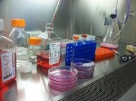 Nanotechnology, Microelectronics and Biomedical Engineering Techniques Combined to Build Hybrid Biological/Non-Biological System