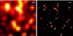 Localisation Microscopy Technique Selected as a Highlight of 2013