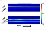 New NIST Technique Measures Changes in a Living Cell's Internal Redox Potential
