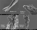 Wet-Spun Carbon Nanotube Fiber Beats Copper in Carrying Electrical Current