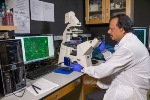 Researchers Report Novel Method Using Nanofiber Films to Treat Glioblastoma Cancer