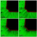 ORNL Researchers Develop New Transmission Electron Microscopy Technique