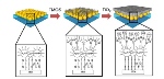 Visible Light Activates Photocatalytic Materials through Application of Nanotechnology