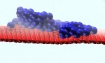 Platinum Nanoparticles Maintain Effective Surface Area When Bonded Onto Graphene