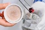 Cellulose Nanofibril Aerogel Enables Inexpensive Cleaning up of Oil Spills