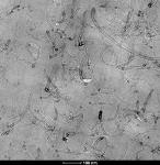 Researchers Successfully Blend Carbon Nanotubes with Polymers