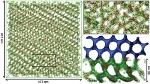 Most Comprehensive Study of Block Copolymer Nanoparticle Self-Assembly Processes