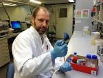Nano-Silver Can Penetrate Human Cells and Cause Damage