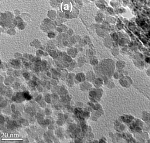Researchers Test Four Iron-Oxide Nanoparticle Systems for Targeting Cancer Cells