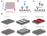 Nanolithography-Based Biomolecular Tweezers Enable Studying Impact of Mechanical Force on Cells