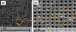 University of Houston Researchers Use Smartphones for Disease Diagnosis in Real Time