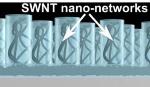 Controlled Placement of Carbon Nanotubes into Nano-Structures Boosts Electronic Performance